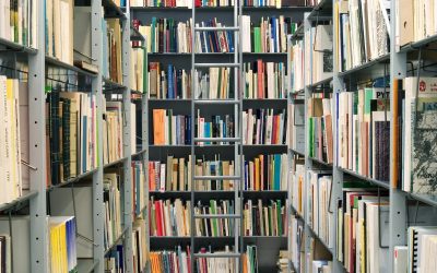 Internationella dagen för universell tillgång till information